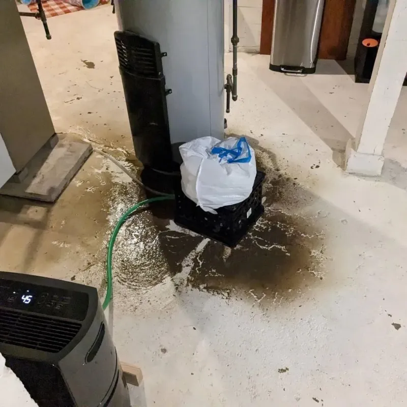 Sewage Backup Cleanup Service in Blue Lake, CA